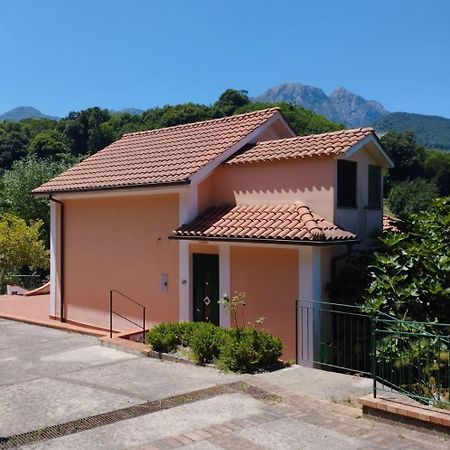 Villa Vicinus - 120 Mq - Parking - Garden Vietri Εξωτερικό φωτογραφία