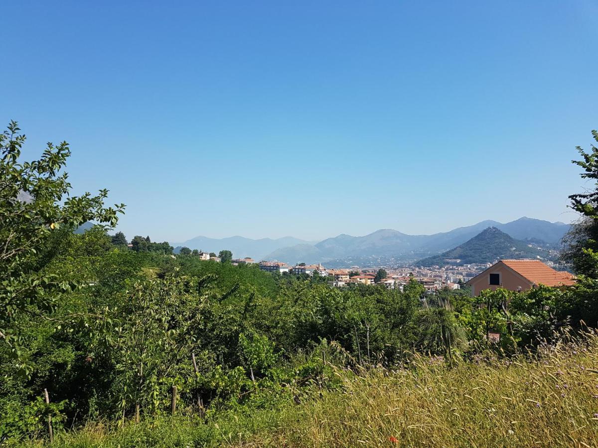 Villa Vicinus - 120 Mq - Parking - Garden Vietri Εξωτερικό φωτογραφία