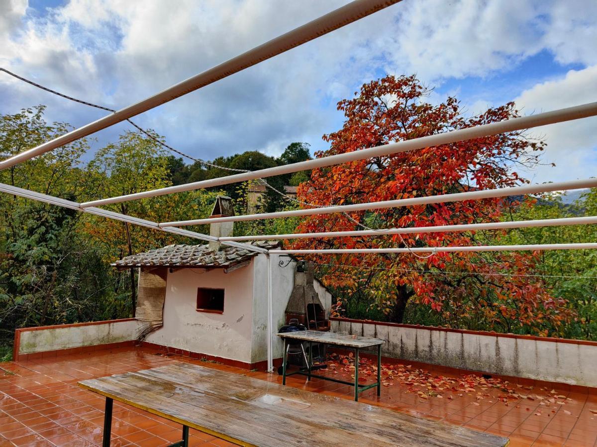 Villa Vicinus - 120 Mq - Parking - Garden Vietri Εξωτερικό φωτογραφία