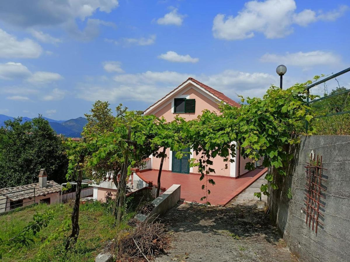 Villa Vicinus - 120 Mq - Parking - Garden Vietri Εξωτερικό φωτογραφία